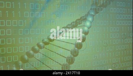 Image of data processing over dna strand on green background Stock Photo