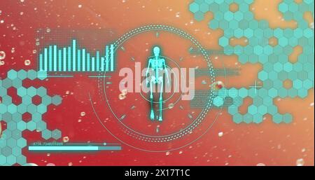 Image of data processing with human skeleton over bubbles on red background Stock Photo