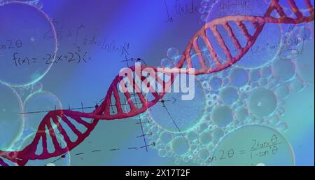 Image of bubbles over dna strand and mathematical equations on blue background Stock Photo