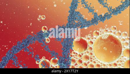 Image of bubbles over dna strand on orange background Stock Photo
