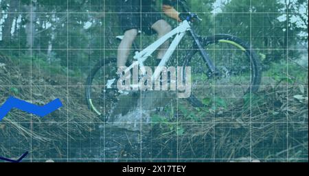 Image of three blue lines and statistics recording over man cycling in forest in the background Stock Photo