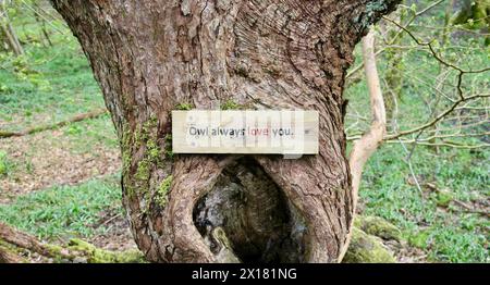 A sign on a tree, on the West Pennine Moors, saying 'Owl always love you' a reminder of a famous song from Dolly Parton Stock Photo