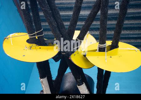 Mooring Ropes Rat Protector Rat guards on ship mooring ropes to prevent Rats getting aboard Stock ...