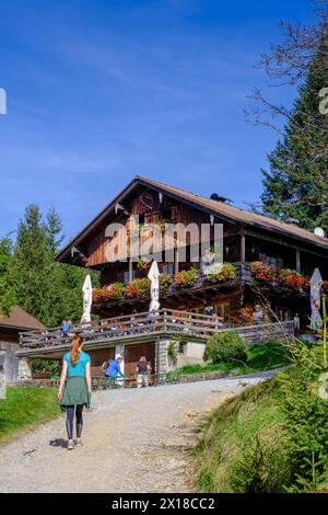 Denkalm, near Lenggries, Isarwinkel, Toelzer Land, Upper Bavaria, Bavaria, Germany Stock Photo