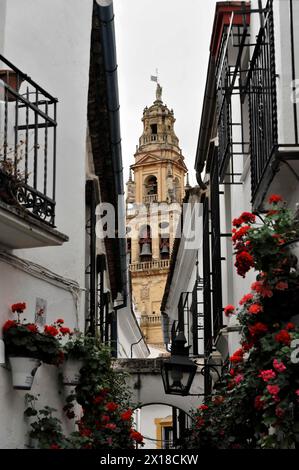 Cordoba, Narrow alley with view of a bell tower and floral decorations, Cordoba, Andalusia, Spain Stock Photo