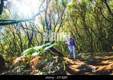Description: Low angle shot of a atheltic female tourist walking down stairs at footpath through a green forest on a sunny day. 25 Fontes Waterfalls, Stock Photo