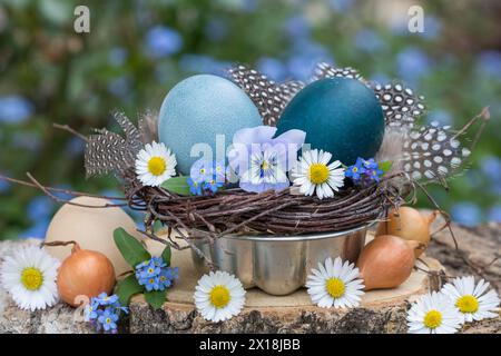easter arrangement with blue coloured eggs, spring flowers and set onions Stock Photo