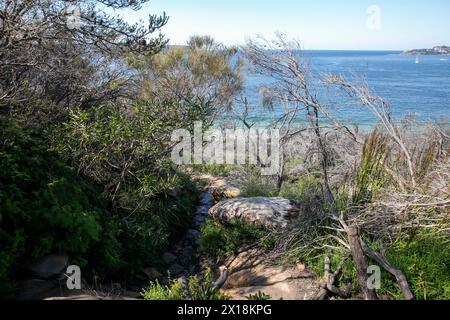 Sydney,Australia, North harbour aquatic reserve  on Dobroyd Head and walking track to Washaway Beach on Sydney Harbour coast, NSW,Australia Stock Photo