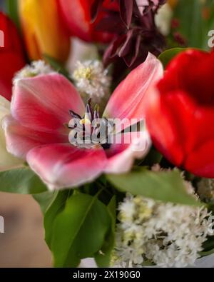 Spring in Kansas City Stock Photo - Alamy