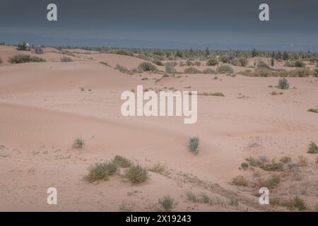 Tengri Desert in the Inner Mongolia Autonomous Region in China. Sunset picture with copy space for text Stock Photo