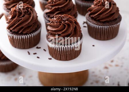 Chocolate cupcakes with chocolate ganache frosting and chocolate sprinkles on top Stock Photo