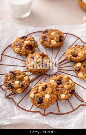 White chocolate and dried cranberry cookies freshly baked on a cooling rack Stock Photo