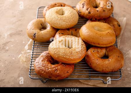 Freshly baked bagels ready to eat for breakfast, sesame, cinnamon and plain bagels Stock Photo