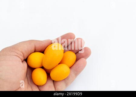 Ripe kumquat fruit in hand isolated on white background with copy space Stock Photo