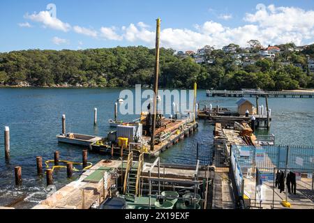 Chowder Bay Sydney Australia, construction works underway to replace the damaged wharf jetty, timber piles are being driven into the ocean sea bed Stock Photo