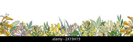 Banner, border with honeysuckle flowers vector art Stock Vector