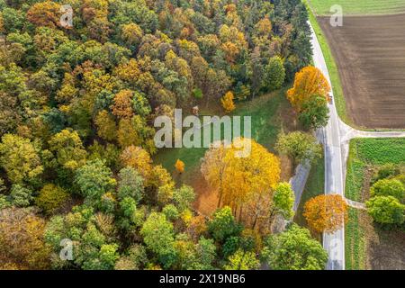 Sieben Rusten Altar Matzner Wald Stock Photo