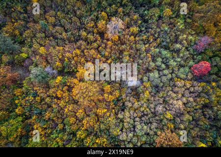 Sieben Rusten Altar Matzner Wald Stock Photo