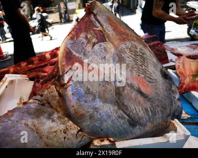 Mediterranean Fish in open seamarket, Napoli Stock Photo