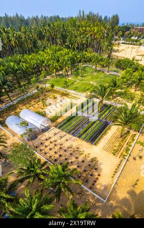 Botanic garden in Khao Lak beach in Phang Nga, Thailand Stock Photo