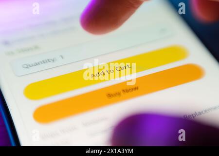 Add to cart and Buy it now buttons on Ebay e-shop website. E-commerce concept Stock Photo