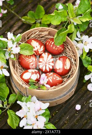Old wooden flour sieve with homemade naturally dyed Easter eggs around apple blossom branches on the garden table. DIY or decoration concept. Stock Photo
