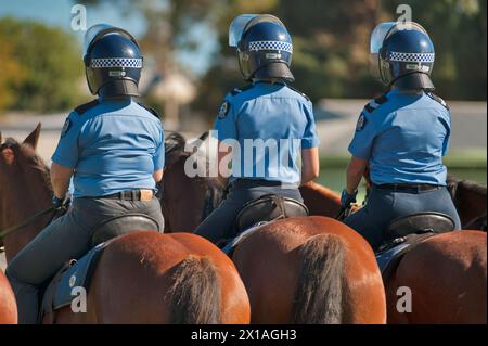 Western Australia mounted Police in training. Stock Photo