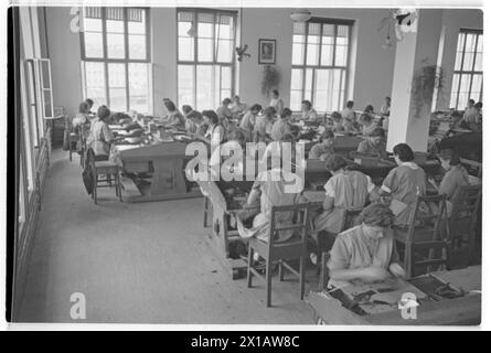 Austria tobacco plant, factory stone, cigar production, 01.07.1941 - 19410701 PD0557 - Rechteinfo: Rights Managed (RM) Stock Photo