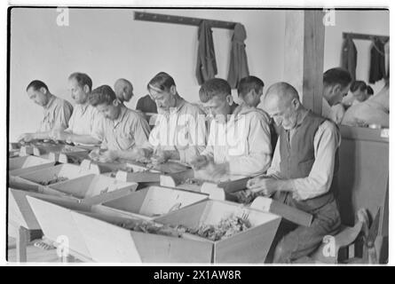 Austria tobacco plant, factory stone, 01.08.1941 - 19410801 PD0233 - Rechteinfo: Rights Managed (RM) Stock Photo