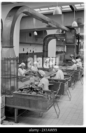 Austria tobacco plant, factory stone, 01.07.1941 - 19410701 PD0567 - Rechteinfo: Rights Managed (RM) Stock Photo