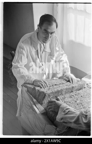 Austria tobacco plant, factory stone, 01.08.1941 - 19410801 PD0231 - Rechteinfo: Rights Managed (RM) Stock Photo