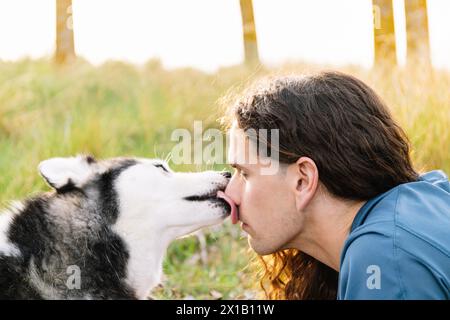 Horizontal photo a heartwarming close-up of a man receiving a gentle kiss from his affectionate husky, highlighting their strong bond in a s Stock Photo