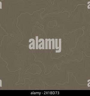 Topographic map vector illustration. Imaginary mountain elevation map lines. Vintage style topo contour map texture. Stock Vector