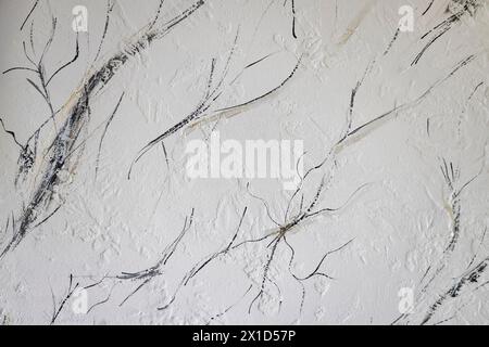 Beautiful light  background texture with black and grey lines. Abstract background from plaster on wall Stock Photo