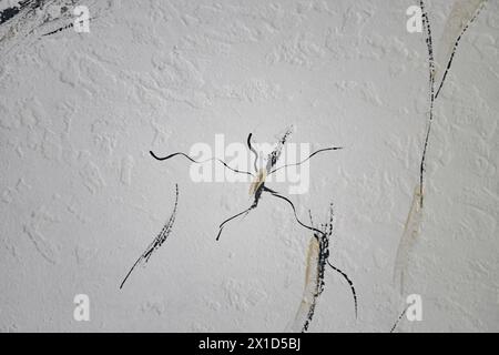 Beautiful light  background texture with black and grey lines. Abstract background from plaster on wall Stock Photo