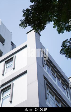 Tall white building with blue sky and green tree leaves during the day Stock Photo