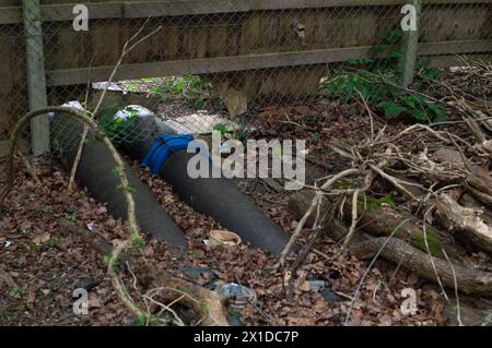 Little Marlow, UK. 16th April, 2024. Outlet pipes from the Thames Water Little Marlow Sewage Treatment works in Little Marlow, Buckinghamshire that discharge into the lake at the Spade Oak nature reserve. Following 16 hours of discharges by Thames Water of storm water including sewage into the River Thames downstream of their sewage works, water testing organised by Naturalist Broadcaster Steve Backshall have found alarming levels of pollution. The Independent testing on the contamianted water was done by Bagnor University and the results  found Nitrates at 'environmentally damaging levels', N Stock Photo