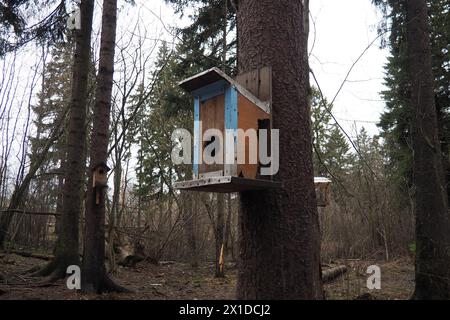 A birdhouse is a closed artificial nesting site for small birds, mainly nesting in hollows. Such nesting sites for small passerine birds are often mad Stock Photo