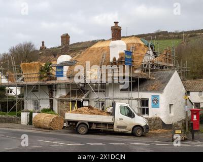 North Devon, England - February 16 2024: New thatch being put on old building. Rural England traditional technique. Stock Photo