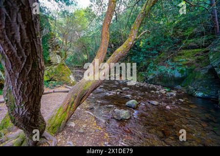 Water passage channel to Senhora da Piedade river beach in Serra da Lousã, Portugal Stock Photo