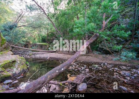 Water passage channel to Senhora da Piedade river beach in Serra da Lousã, Portugal. Stock Photo