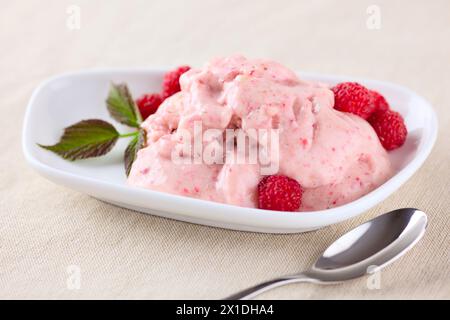 Vegan raw banana ice cream with raspberries. Ingredients: bananas, honey, raspberry. Raw food only. Stock Photo