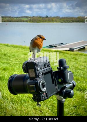 photographer in action Stock Photo