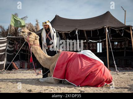 Bedouin man with his camel resting in front of his tent Stock Photo