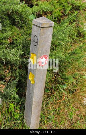 A way marker on a public footpath, the Kenneggy Circular Walk, above Kenneggy Sands, a remote beach in south west Cornwall, England, UK Stock Photo