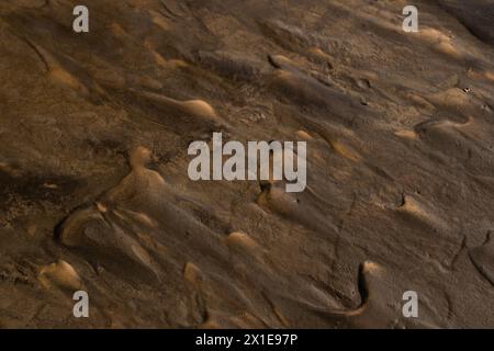 Close up of wet sand texture. Natural background. Selective focus Stock Photo