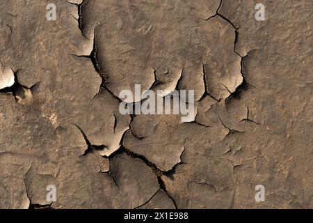 Dry cracked earth texture. Abstract background for design with copy space Stock Photo