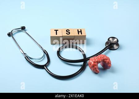 Endocrinology. Stethoscope, wooden cubes with thyroid hormones and model of gland on light blue background Stock Photo