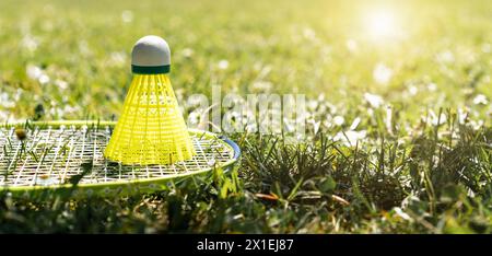 Yellow shuttlecock and badminton racket on the green grass of lawn. Stock Photo