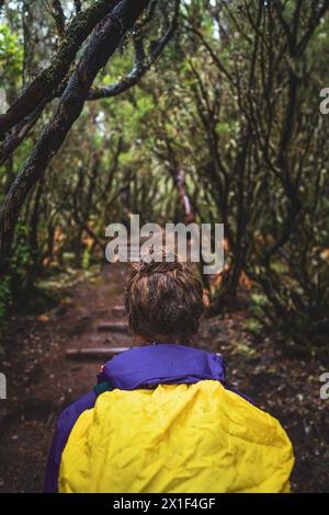 .Description: Back head shot of toursit with backpack overseeing the path trhough a laural forest on a rainy day. 25 Fontes waterfalls, Madeira Island Stock Photo